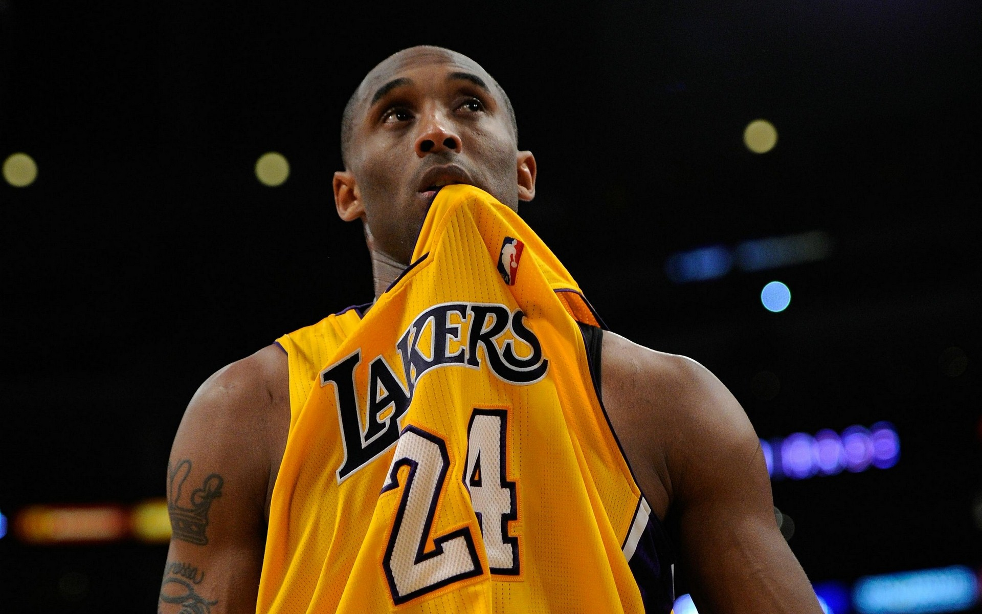 成的参考范 成的参考范